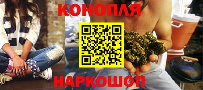 прущие грибы Волгодонск