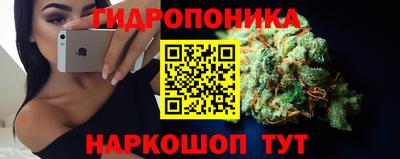 прущие грибы Волгодонск