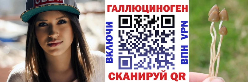 Псилоцибиновые грибы GOLDEN TEACHER Грязи
