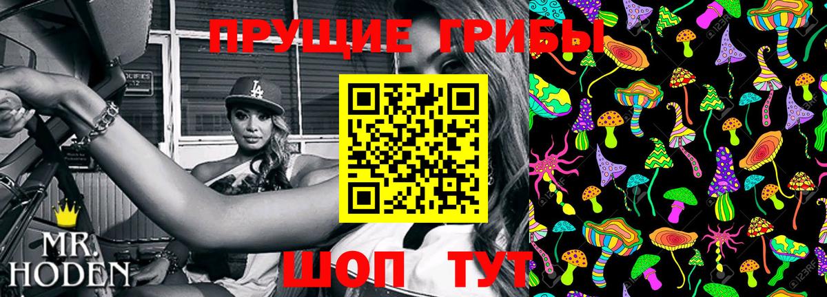 Галлюциногенные грибы Cubensis  Вход с VPN  Грязи 