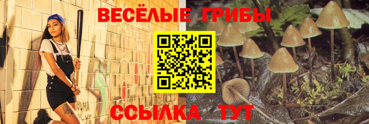 Галлюциногенные грибы MAGIC MUSHROOMS Грязи
