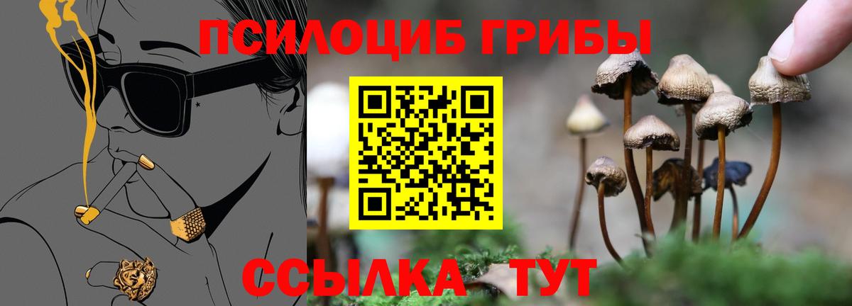 Псилоцибиновые грибы мухоморы Грязи