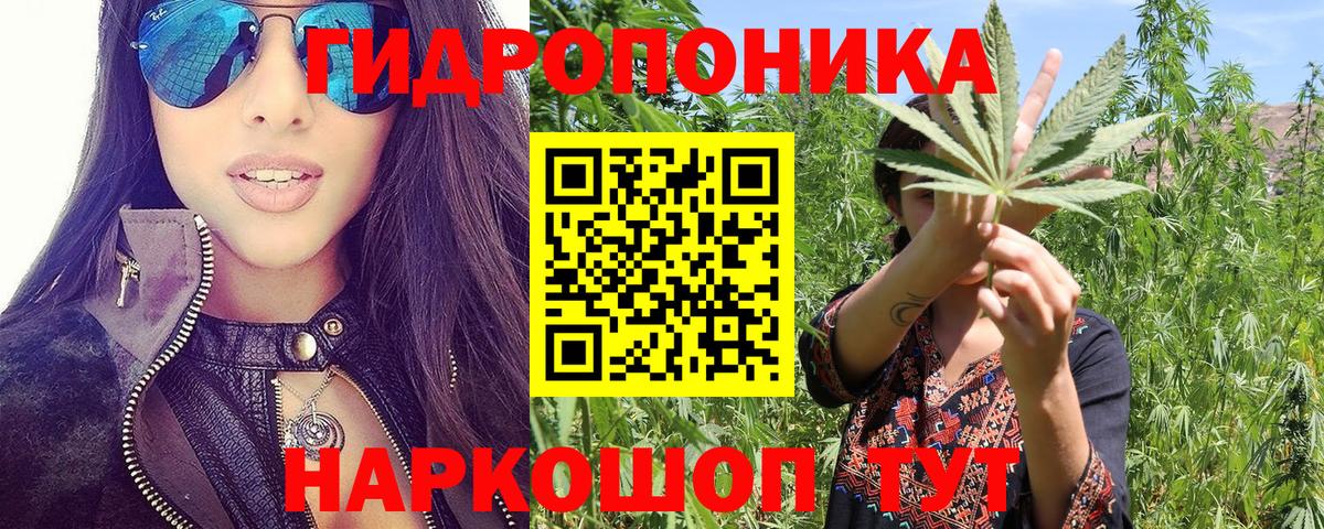 МАРИХУАНА Amnesia  Грязи  Каннабис план  Марихуана THC 21% 